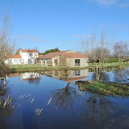 Avec Et Piscine Au Coeur Du Marais Breton - Fr-1-426-280 *