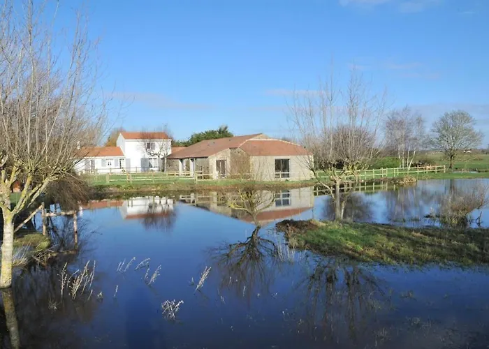 Avec Et Piscine Au Coeur Du Marais Breton - Fr-1-426-280 *